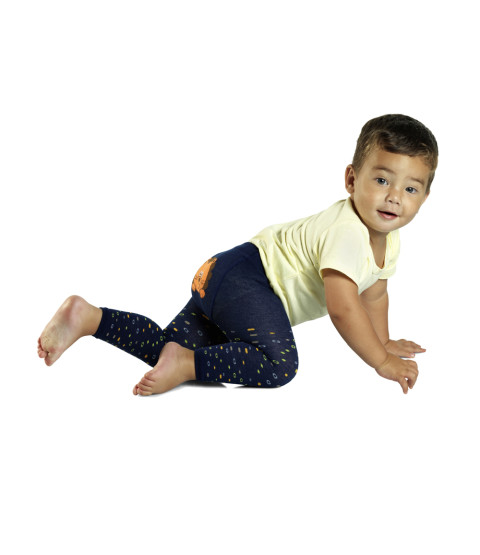 Legice Levček Boštjan